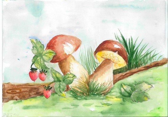 Полянка с грибами рисунок