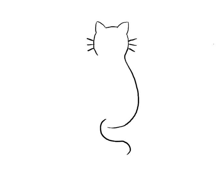Контур кошки