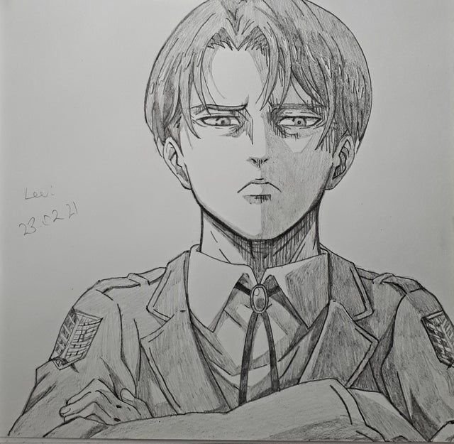 Леви рисунок