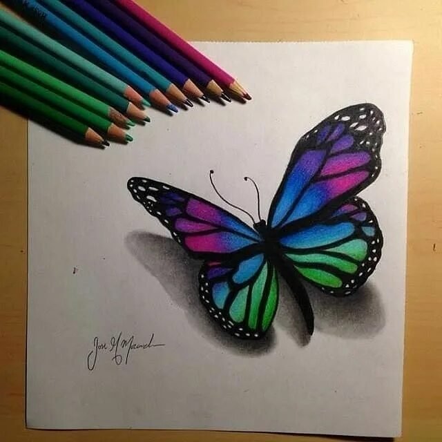 Бабочка рисунок