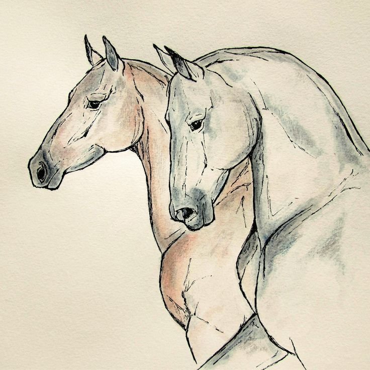 Лошадь рисунок карандашом