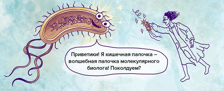 Кишечная палочка рисунок смешной