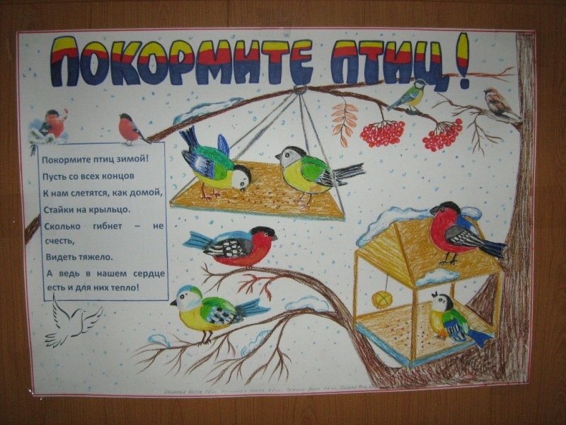 Плакат на тему птицы