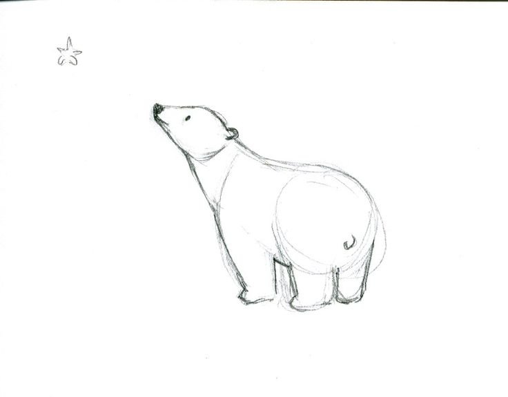 Медведь рисунок карандашом