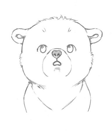 Медведь рисунок карандашом
