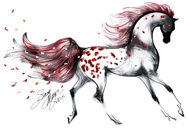 Лошадь рисунок