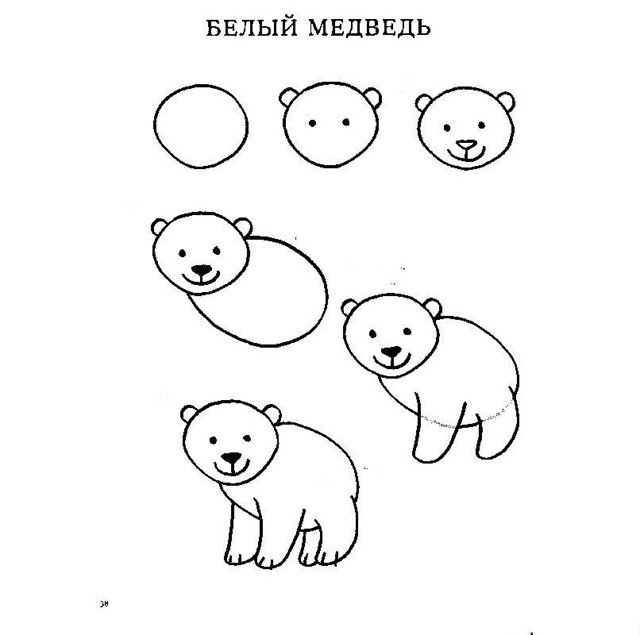 Пошаговый рисунок медведя
