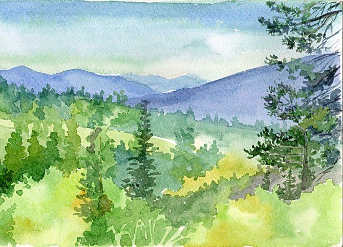 Лес рисунок