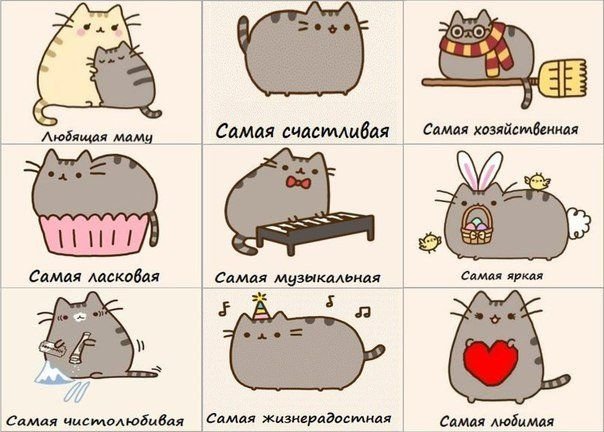 Кот Пушин