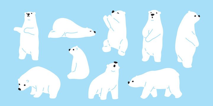 Рисование белый медведь
