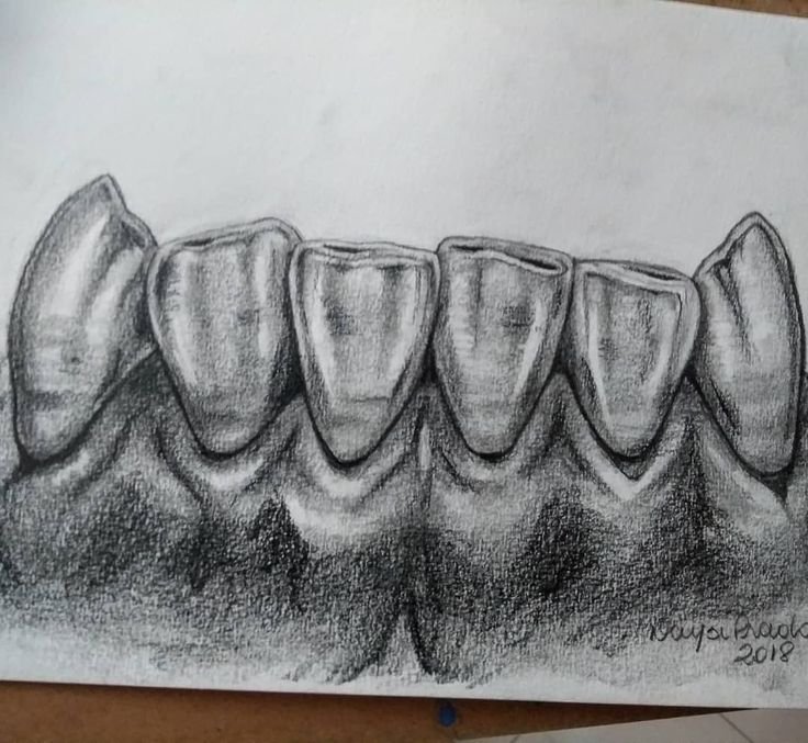 Рисование зубов