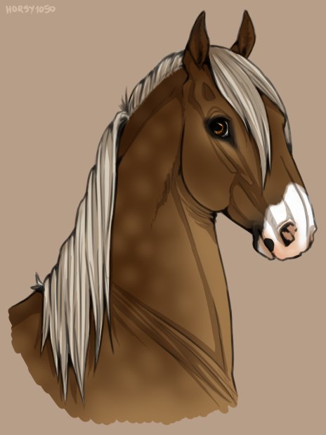 Лошадь рисунок