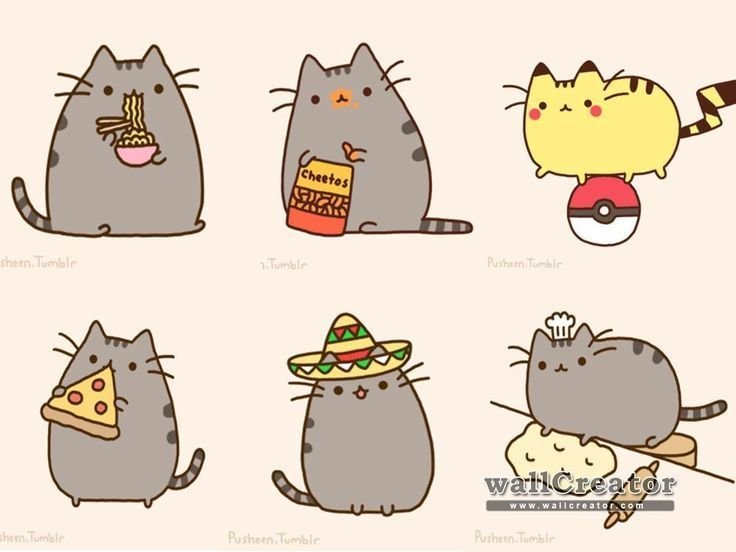Рисунки для срисовки котики