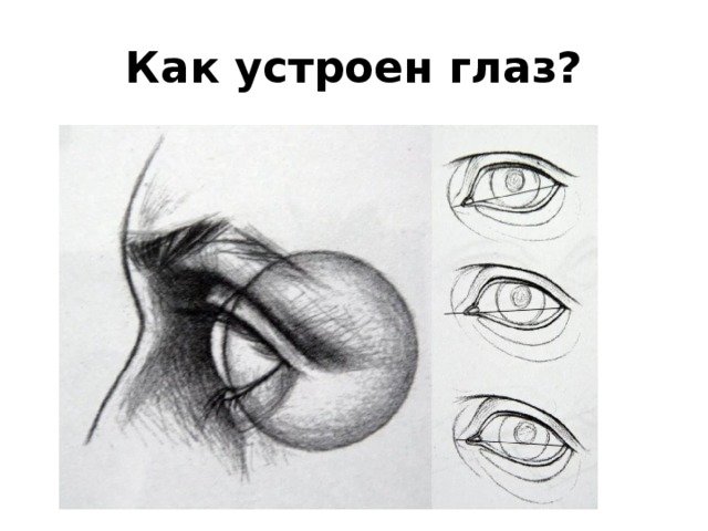 Рисование глаз в разных ракурсах