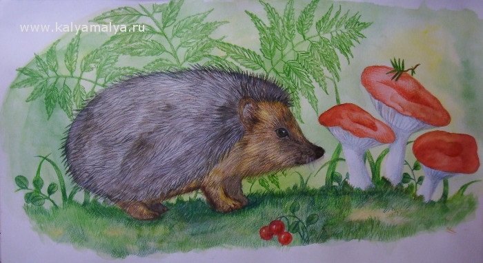 Рисование Ежик