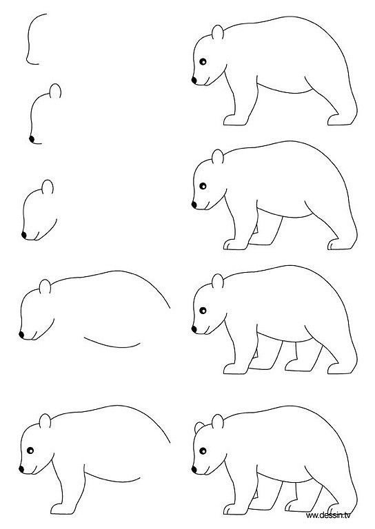 Медведь рисунок легкий для срисовки