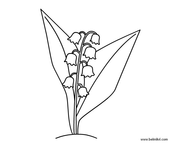 Ландыш раскраска
