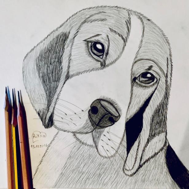 Рисунок собаки для срисовки