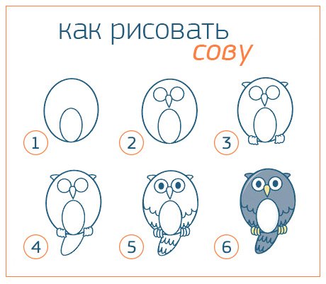 Алгоритм рисования Совы