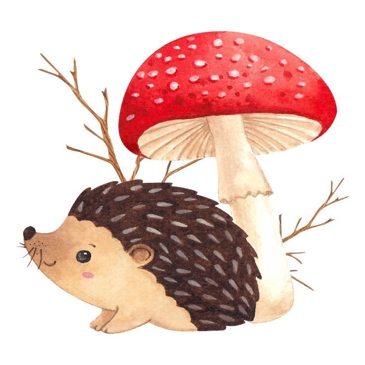 Ежик с грибами легкие