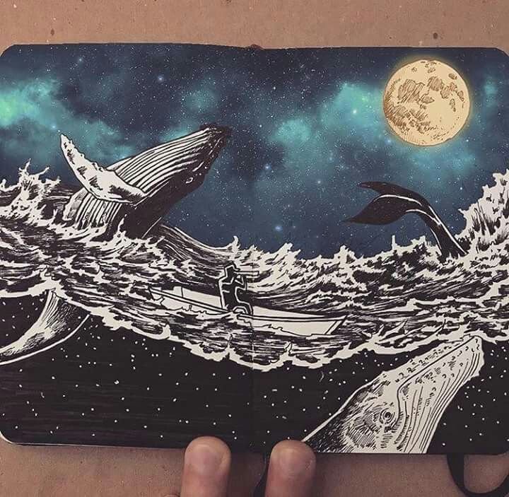 Скетчбук. Киты