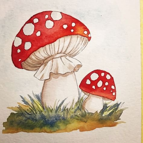 Мухомор цветными карандашами