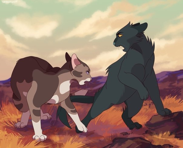 Heathertail коты Воители