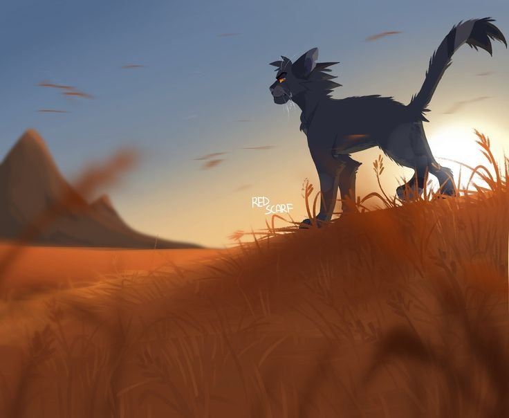 Red Scarf Warrior Cats