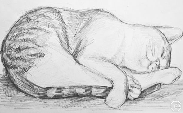 Кошка рисунок карандашом
