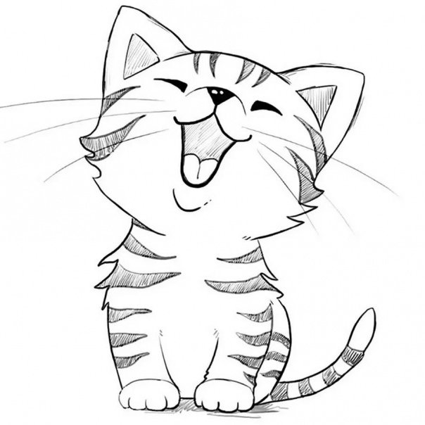 Самый легкие кошки