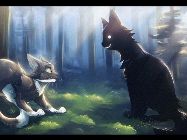 Коты Воители LOKIDRAWZ