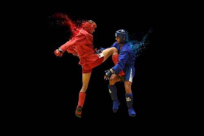 Боевое самбо арт