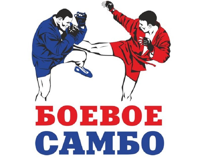 Боевое самбо арт