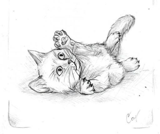 Рисунки котиков