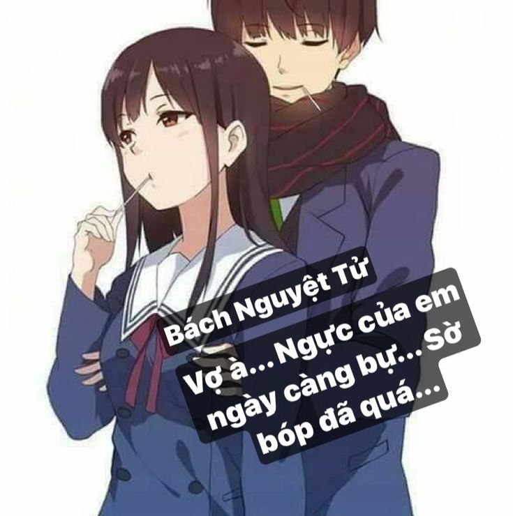 Седзе ай Жанр