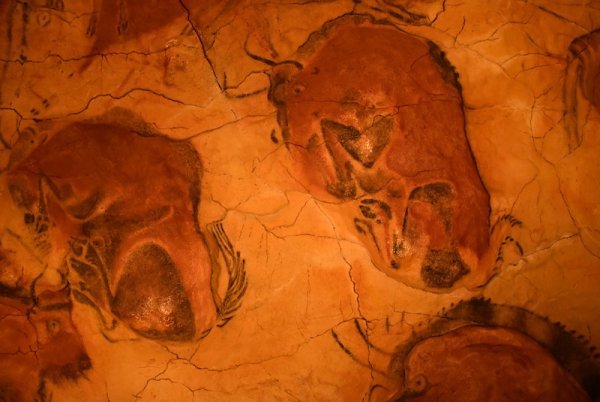 Альтамира Испания раненый Бизон