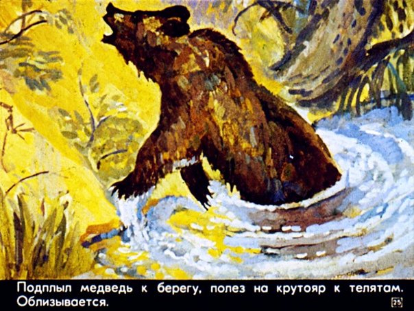 Дремучий медведь Паустовский иллюстрации