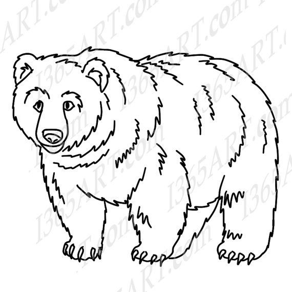 Медведь рисунок раскраска