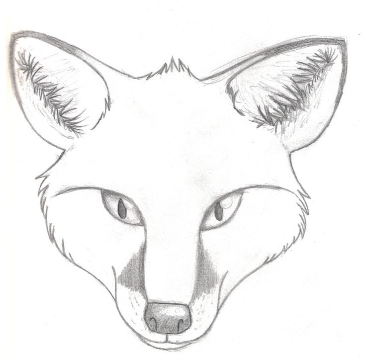Рисунок лисы