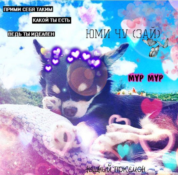 Юми Чу покемон Мэджик Фэмили