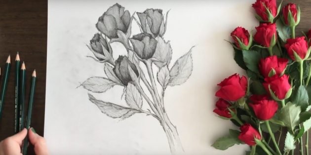 Букет рисунок карандашом