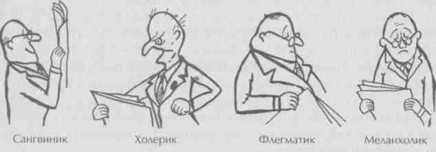 Сангвинический флегматический темперамент