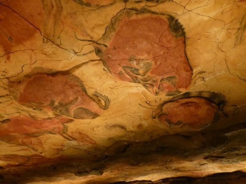 Бизон палеолит пещера Альтамира Испания