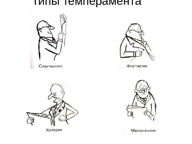 Холерик сангвиник