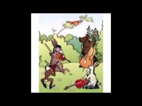 Осёл квартет
