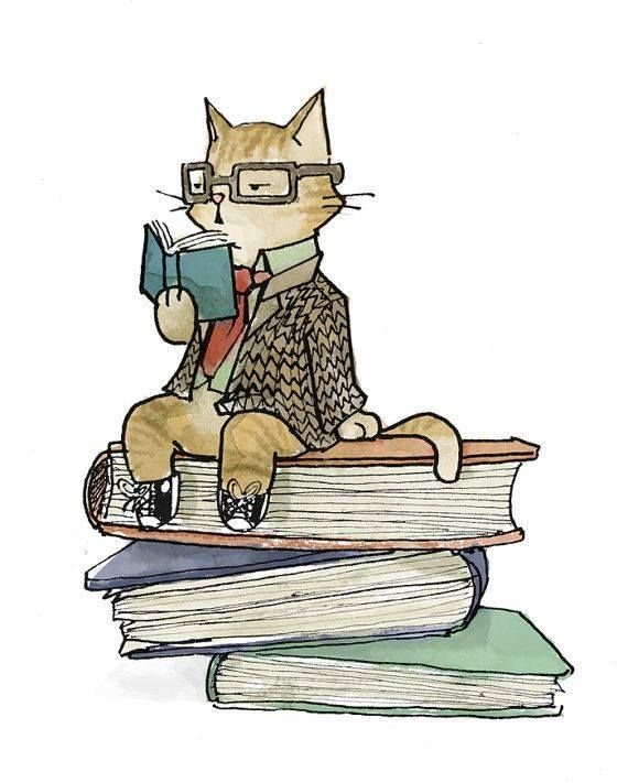 Кот с книгой