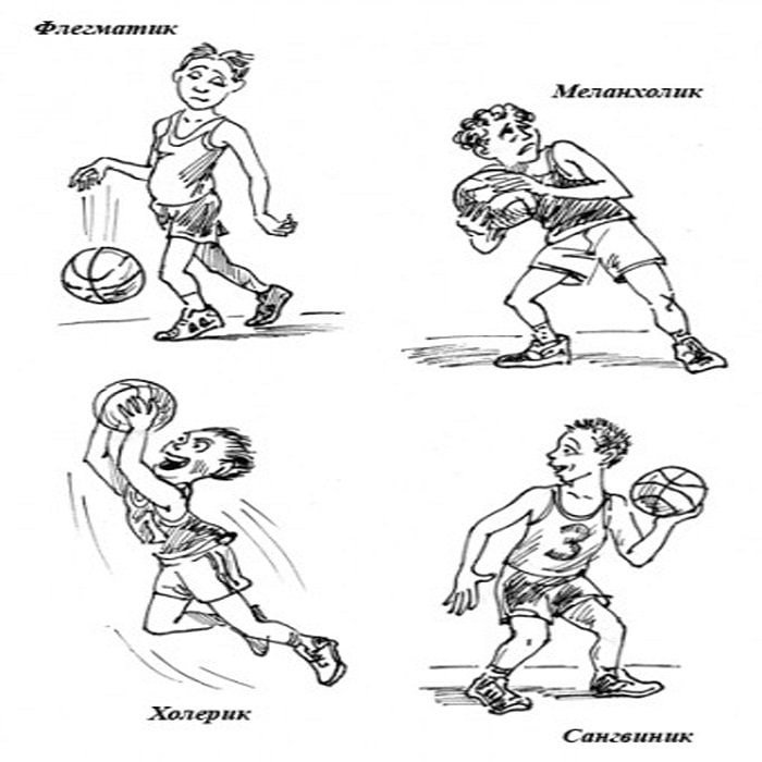 Типы темперамента в спорте