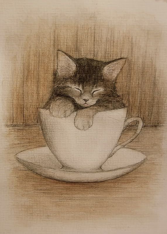 Рисунки котиков