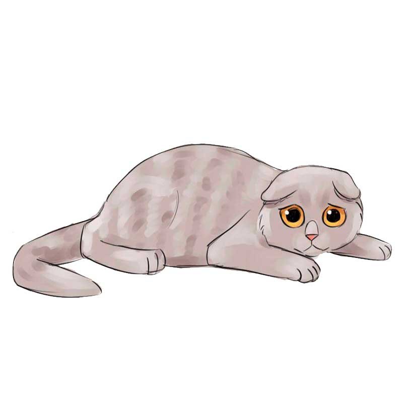 Кот для срисовки