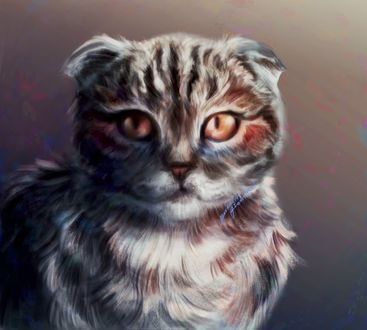 Арты вислоухих кошек